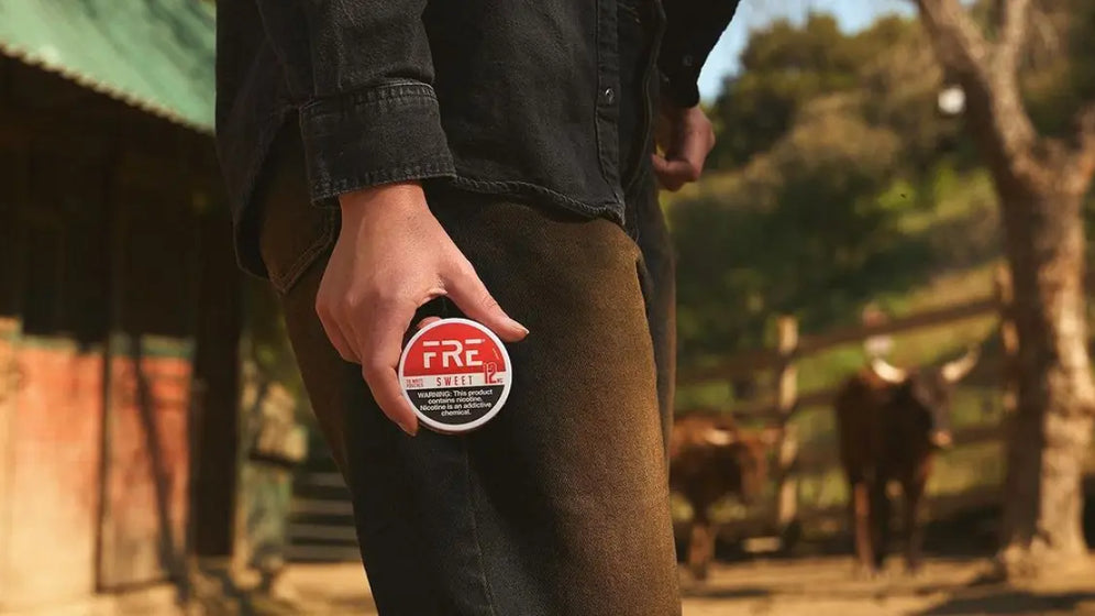 Dip, ZYN, or FRE? The Right Nicotine Pouch for Every Kind of User