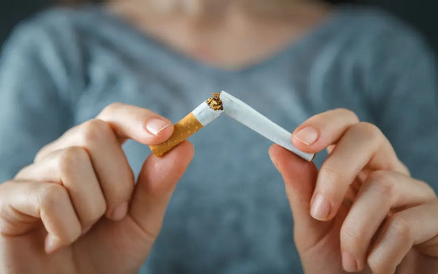 Nicotine Pouches in 2025: A Modern Option for Adult Nicotine Consumers
