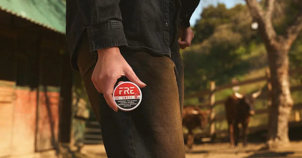 Dip, ZYN, or FRE? The Right Nicotine Pouch for Every Kind of User