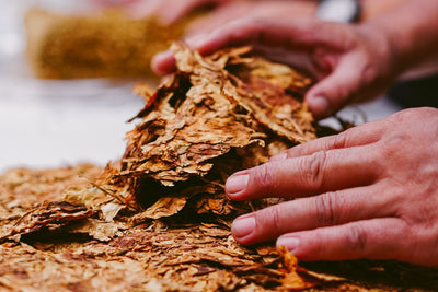 Pouches, Lozenges, and Sticks: Different Forms of Tobacco Alternatives